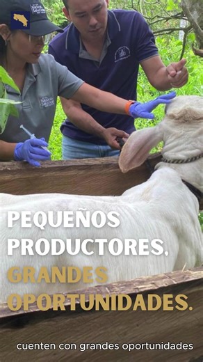 MAG Costa Rica on TikTok