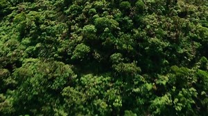 El tesoro del Amazonas (2003)