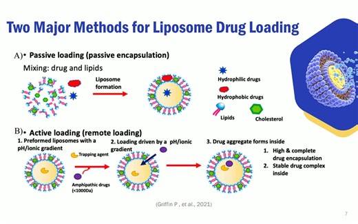 癌症治疗中的脂质体递送系统Liposomal Delivery Systems in Cancer Therapy 搬运视频
