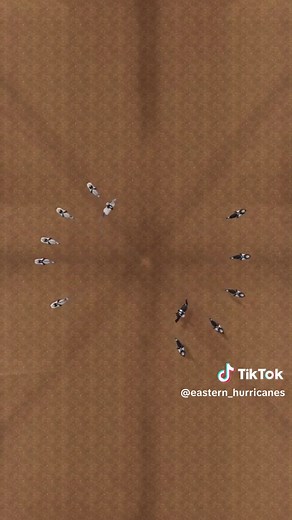 Mastering Dressage Techniques in Star Stable