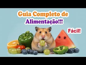 How to Feed Your Hamster Properly - Easy and Complete Guide! Everything about feeding hamsters!
