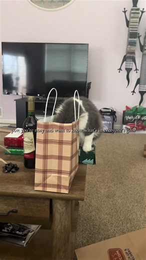 MERRY CHRISTMASSSSS #cattok #merrychristmas #nosycat #funnycatvideo #happyholidays