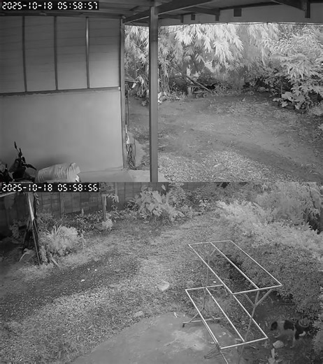 หมาบ้านใครมาค้นขยะที่บ้าน คือเลี้ยงกันดูแลหมาด้วยเนอะ มาสองรอบแล้ว | Seenum Kansat