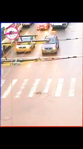 luckiest People Caught On Camera #20 | Relationship Goals