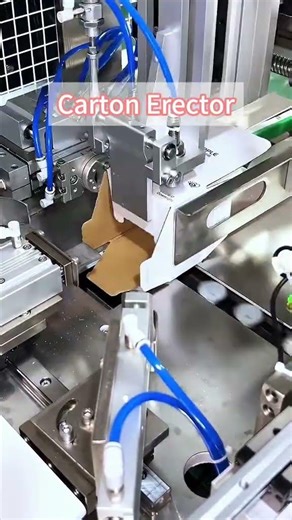 Carton Erector | Automatic Case Forming Solution