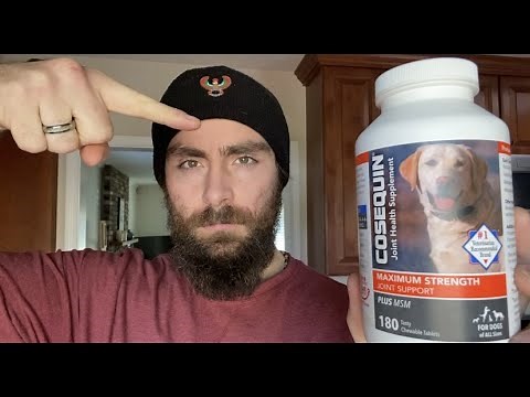 Cosequin For Dogs: A Potent Joint Health Supplement That Works.