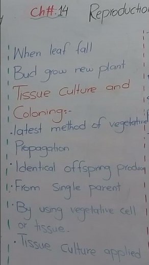 Natural Vegetative Propagation | 10th Class Biology | Chapter 14 | Reproduction