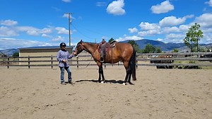 First Steps to Starting Your Horse