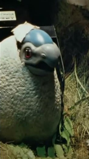 #pokemon #fossil #cranidos