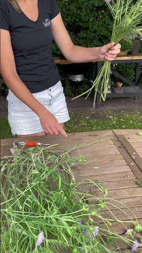 Simple Country Bouquet with Scabiosa (Knautia) | Easy DIY Floral arrangement.