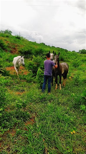 Os vídeos de Sonho sem limite HRG (@sonho.sem.limite.h) com som original - Clenilton_Ribeiro