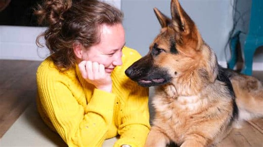 Pets share funny moments with humans to lift spirits