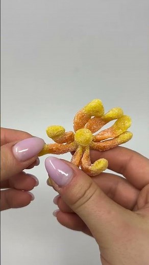 Trolli Sour Brite Octopus