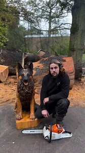 1.6M views · 77K reactions | The full creative process of Chainsaw Carving this fluffy German Shepherd! ❤ #dogs #chainsaw #sculpture #woodworking #germanshepherd #germanshepherdlove | Michael Jones Chainsaw Sculptor | Facebook