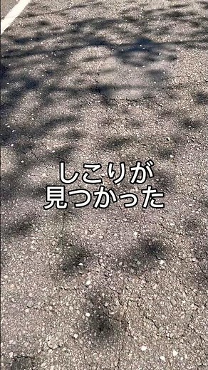 きっと乗り越えられる💪#しこり #がんサバイバー #腫瘍 #小児がん #寛解