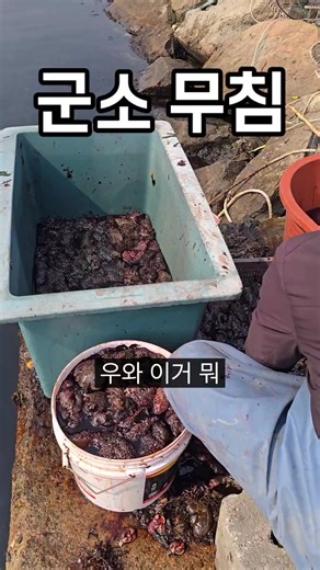 군소 초무침 만들기: 맛보기와 팁