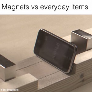 None of them stood a chance | VT