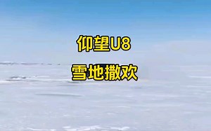 仰望U8雪地撒欢，好不快哉！_哔哩哔哩_bilibili