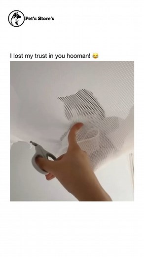 6M views · 47K reactions | Lost my trust in human  | Pet's Store's | Facebook