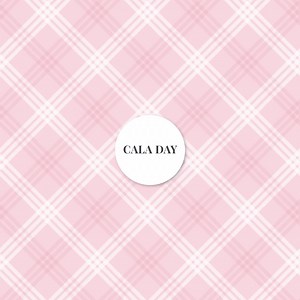 Pink Pattern Digital Paper Pack (no AI) – Seamless Plaid and Stripe Textures, 12x12 Inches, 300 DPI, Instant Download - Etsy Canada