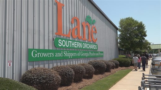 Peach farm fun fest at Lane's delights visitors with fresh picks and sweet treats