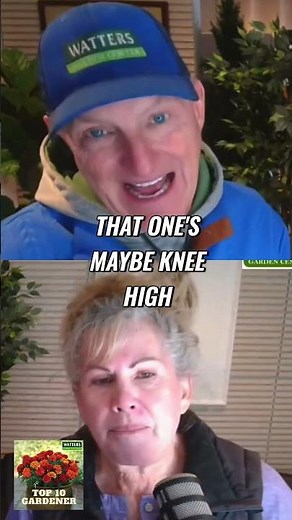 Revive Your Ornamental Grasses Expert Cutting Tips