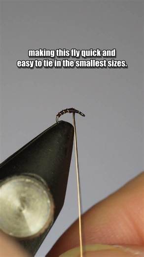 Black Beauty | Fly Tying Tutorial