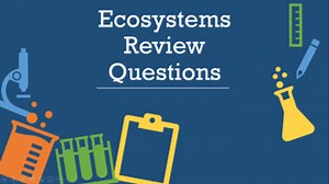 Ecosystems Review Questions Annotated PowerPoint