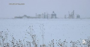 Latest update from 3 News Now | June 17 | 7 AM