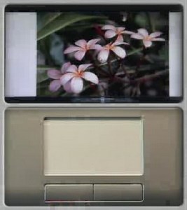 TouchPad Gesture: Pinch to zoom