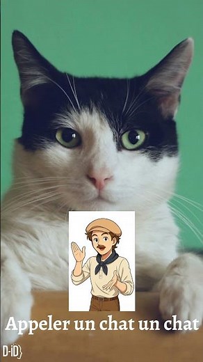 Expressions with ‘cat’ 🐱 in French / Expressions avec le mot 'chat. 🐱