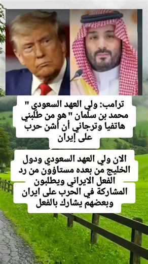 ترامب: ولي العهد السعودي " محمد بن سلمان " هو من طلبني هاتفيا وترجاني أن