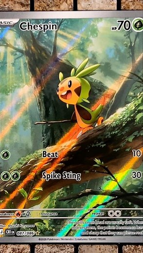 Chespin (087/086 - Illustration Rare) - Mega Evolution: Chaos Rising - Pokemon TCG