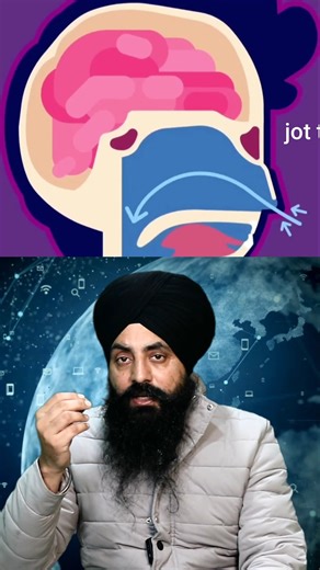 jot tv on Instagram: "The Mysterious Uvula: What is it and What Does it Do? #Uvula, #ThroatAnatomy #HealthEducation #facts"