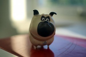 10 Fun Things To Do With A Crested Gecko – Reptiles & Amphibians