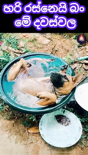 It’s very hot these days, bro 😆