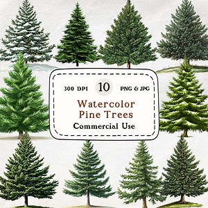 Evergreen Pine Tree Clipart Bundle - 10 Winter & Christmas Tree Illustrations, Realistic Conifer PNG, Holiday Decor, Nature Botanical Art - Etsy
