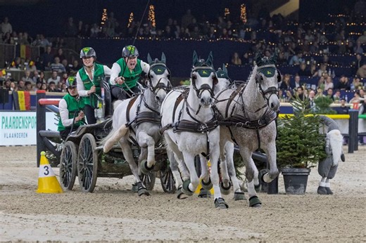 Int. jumping competition with jump-off (1.40 m) - Jumping Mechelen - FEI World Cup™ Jumping-Dressage-Driving 2025-2026 - 2025 | Videos, Live Streams, Films and Shows | ClipMyHorse.TV