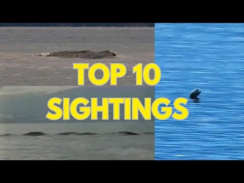 Ogopogo The Lake Monster