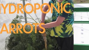 11K views · 229 reactions | A little tour of our green house with aquaponics, hydroponics. See our funny shaped carrots we grew soil-less. | Steamy Kitchen | Facebook