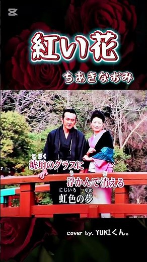 紅い花 / ちあきなおみ（−2）歌ってみました♪