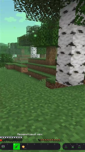 Уникальные трюки в Minecraft с Zenith