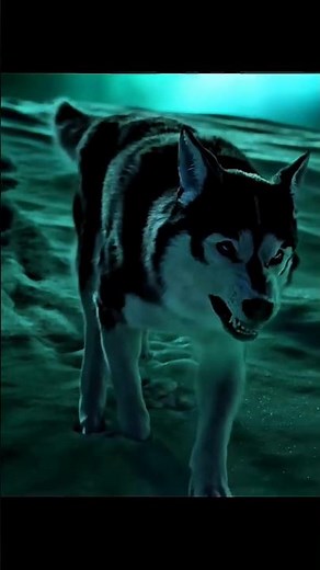 Buck vs Spitz 💀 Back for Blood | #shorts #movie #story #status #4k