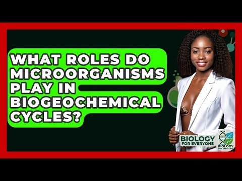 What Roles Do Microorganisms Play In Biogeochemical Cycles? - Biology For Everyone