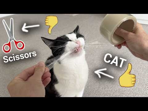 The Best Cutter Of The Tape In The World