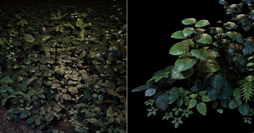 Creating Realistic Foliage Using ZBrush, SpeedTree, & Substance 3D