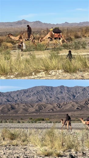 Discover the Beauty of Nature in Autumn