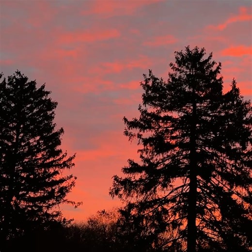 Jessica Springsteen on Instagram: "A little bit of home❤️❄️⛄️ and Don🥰😅"