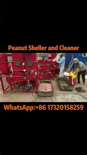 Effortless Peanut Shelling & Cleaning | High-Speed Peanut Processing Machine#peanut