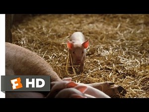 Charlotte's Web: Fern Saves Wilbur